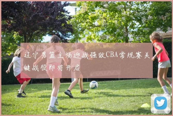 辽宁男篮主场迎战强敌CBA常规赛关键战役即将开启