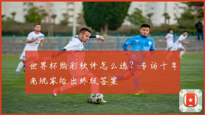 世界杯购彩软件怎么选?专访十年老玩家给出终极答案