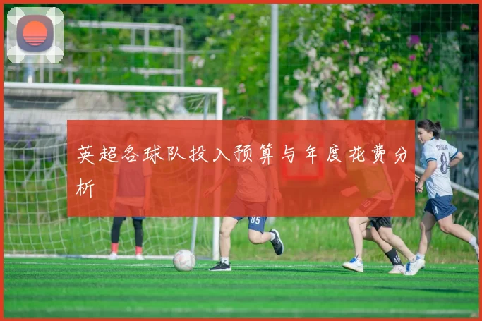 英超各球队投入预算与年度花费分析