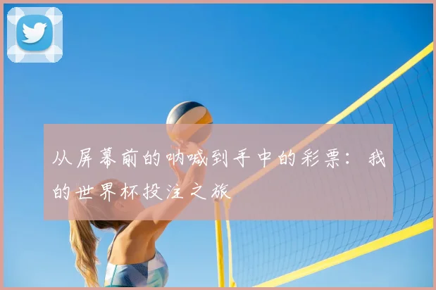 从屏幕前的呐喊到手中的彩票：我的世界杯投注之旅