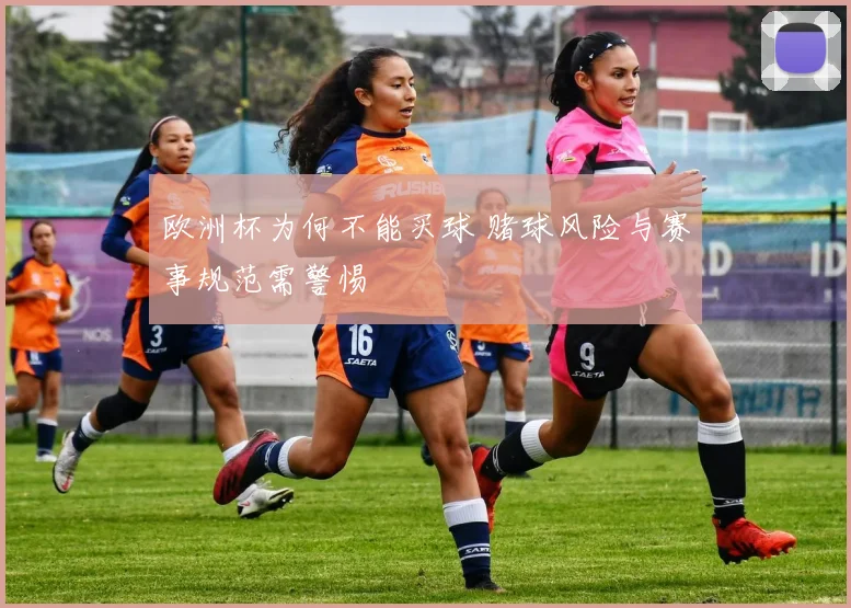 欧洲杯为何不能买球 赌球风险与赛事规范需警惕