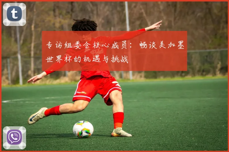 专访组委会核心成员：畅谈美加墨世界杯的机遇与挑战
