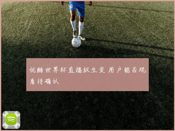 优酷世界杯直播权生变 用户能否观看待确认