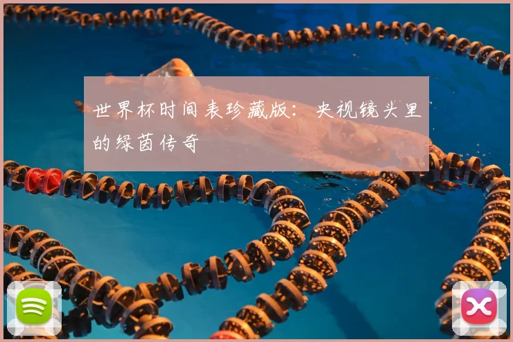 世界杯时间表珍藏版:央视镜头里的绿茵传奇
