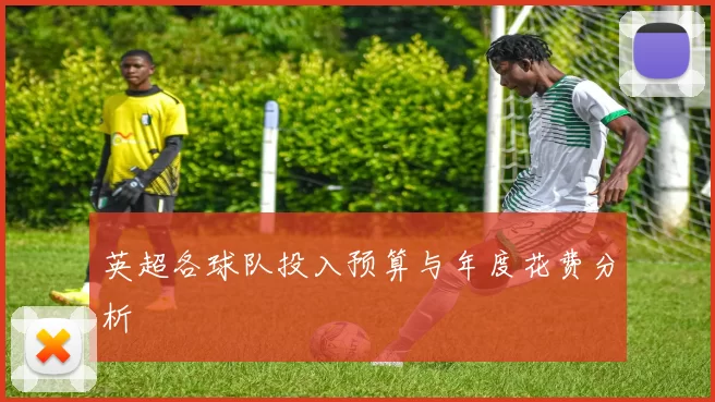 英超各球队投入预算与年度花费分析