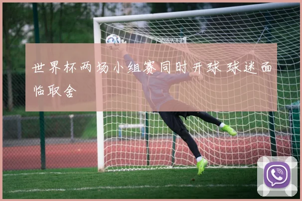 世界杯两场小组赛同时开球 球迷面临取舍