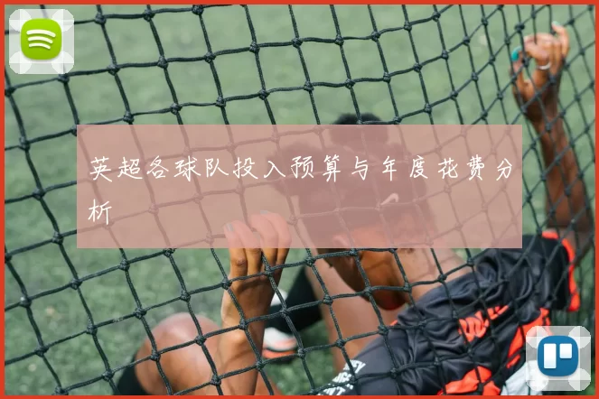 英超各球队投入预算与年度花费分析