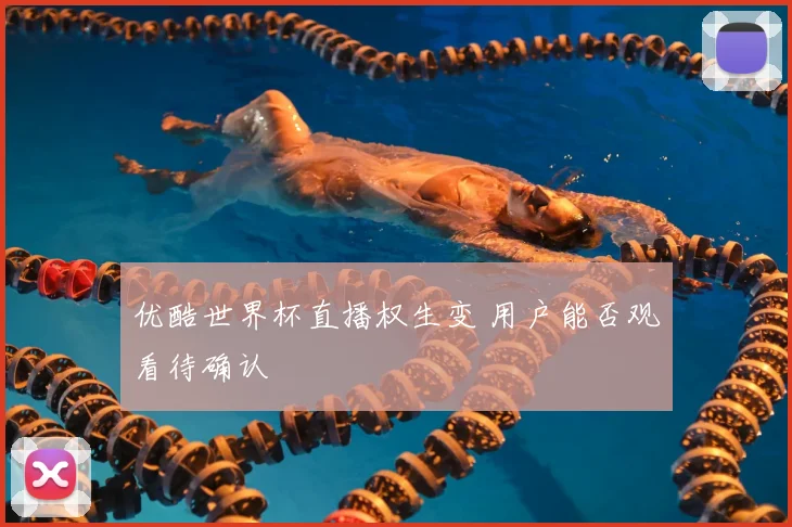 优酷世界杯直播权生变 用户能否观看待确认