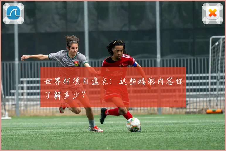 世界杯项目盘点：这些精彩内容你了解多少？