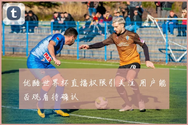 优酷世界杯直播权限引关注 用户能否观看待确认